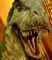 Asset_upload_file625_73976_thumbnail_small