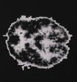Asset_upload_file541_72104_thumbnail_small