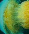 Asset_upload_file331_62757_thumbnail_small
