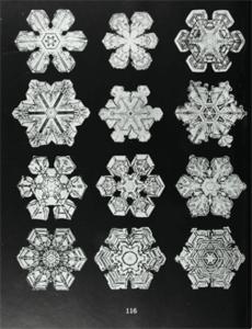Caption: Images from the Othmer Library of Chemical History at CHF.