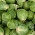 Brusselssprouts_small