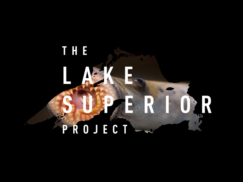 Caption: Logo by Lauryl Loberg, Credit: T. Lawrence, GLFC