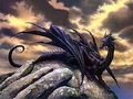 Black_dragon_small