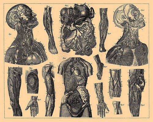 Piece image