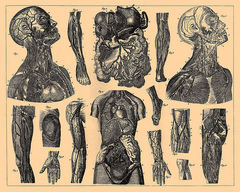 Piece image