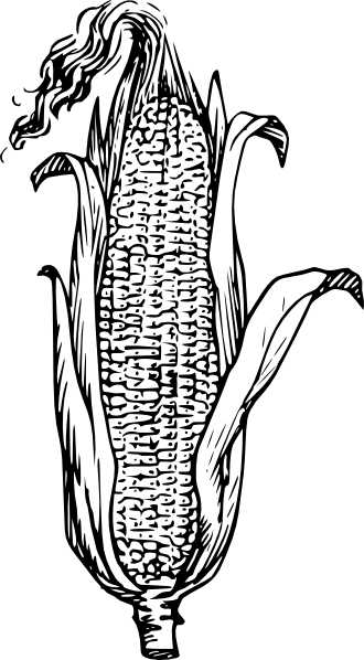 Piece image