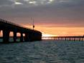Bridge_small