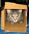 Asset_upload_file88_76183_thumbnail_small
