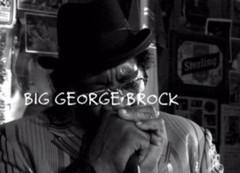 Brock_medium