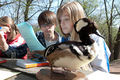 Envirothon_by_iowa_farm_bureau_via_flickr_small