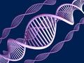 Dna_small