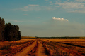 Back_roads_photo_by_amintiri_small