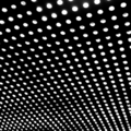 Beachhouse_bloom_small