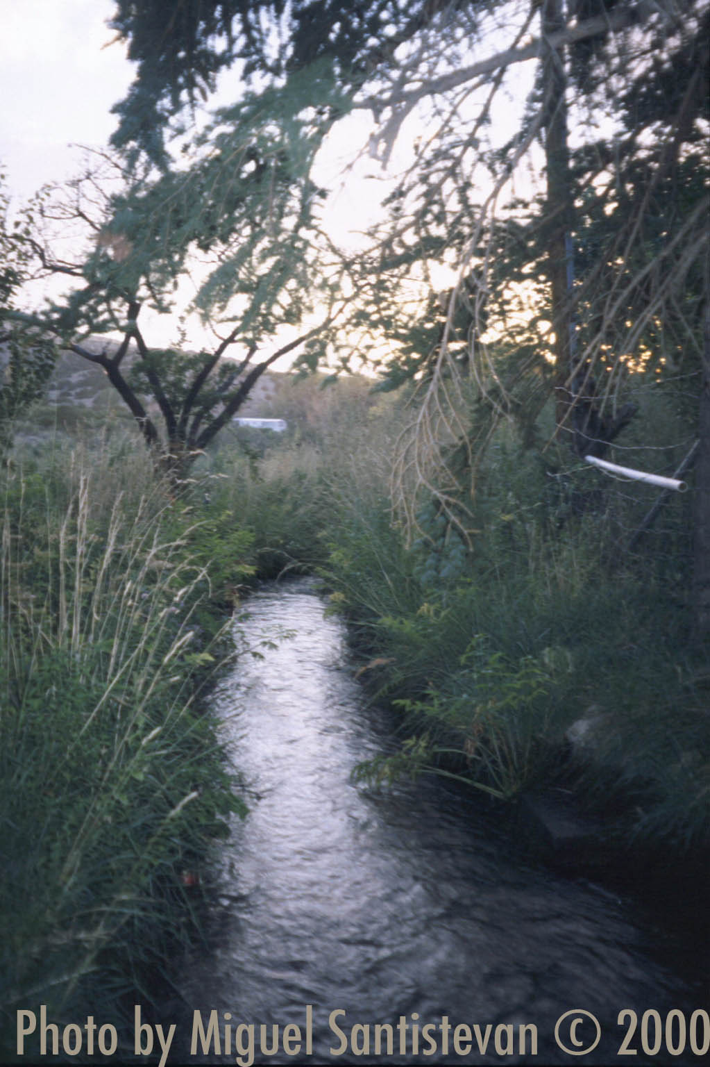 Piece image