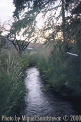 Piece image