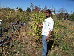 Caption: Miguel Santistevan in the Field, Credit: Kindle Project