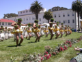 Hula_small
