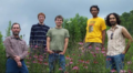 Sweetgrass_small