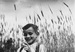 Caption: Henryk Kranz. In a wheat field