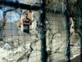 Brokenkirkuk_small