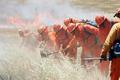 Fire_line_small
