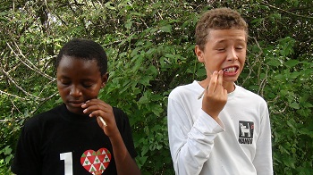 Moniko_and_richard_brushing_small