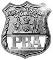Nycpbashield_photo_w_glint2010_small