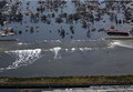 185_from-mitigation-to-management_small