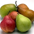 Pears_small