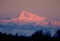 Mckinleydenali_small