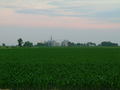 Corn_small