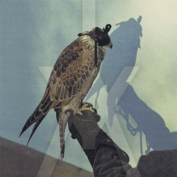 Iceage-youre-nothing-608x608_small