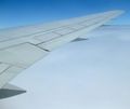 Plane_wing_small