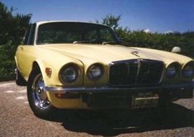 Jaguar_small