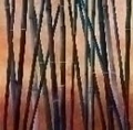 Bamboo160sunset_small