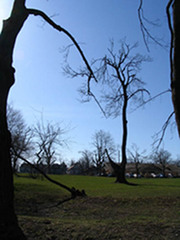 Piece image