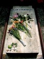 Stravinskygrave_small