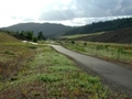 Trailintailingpiles3_small