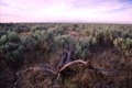 Gh003_small