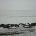 Piece image