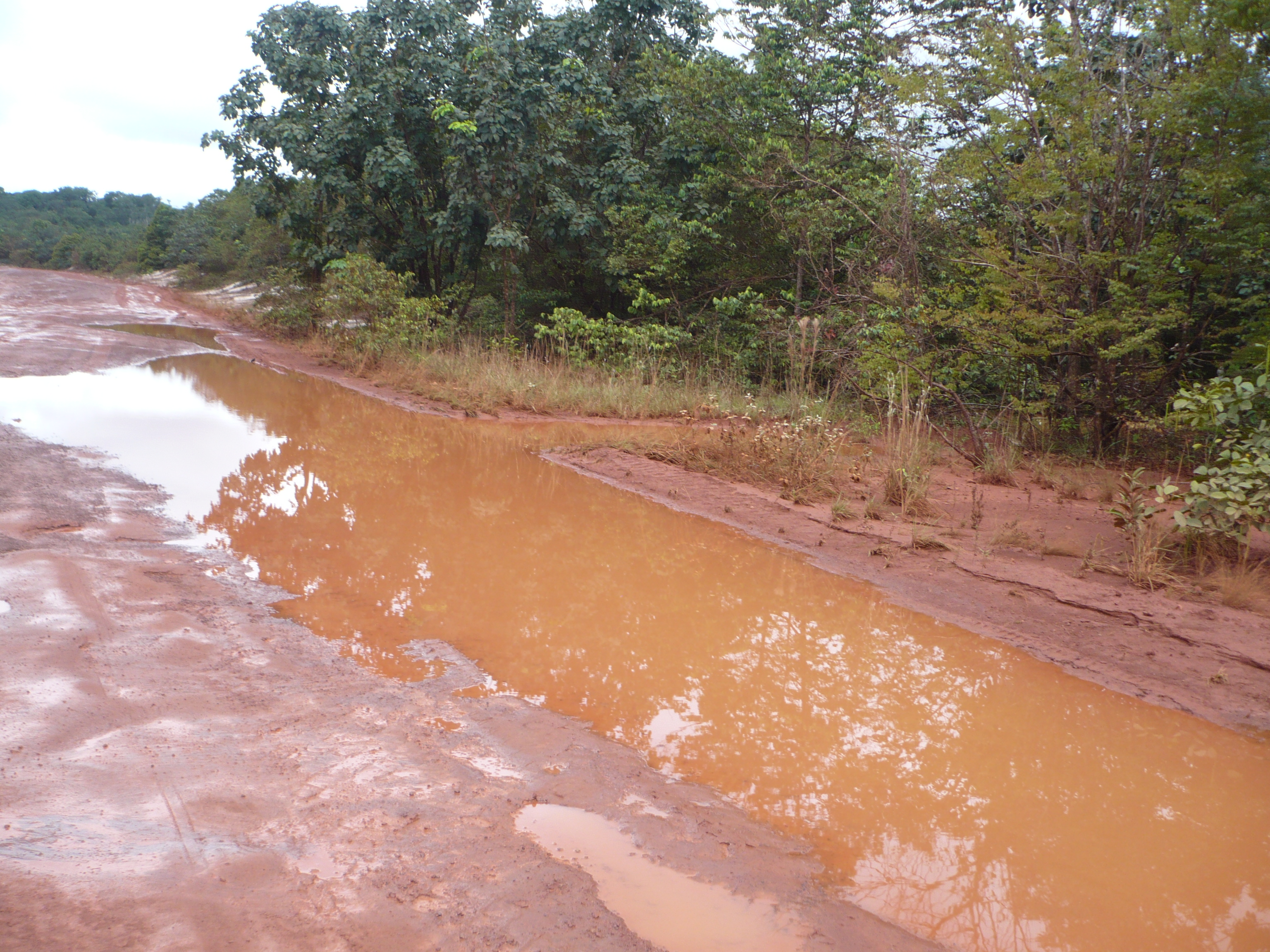 Caption: Weg in Guyana, Credit: Anton Foek
