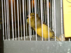 Dscf0025_medium