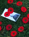 Rememberance_small