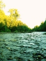 Stillyriver_small