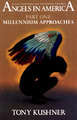 Angelsamerica14c_small
