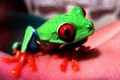 Bookmark766_small