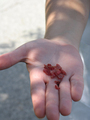 Handcrystals_small