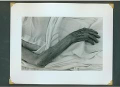 Piece image