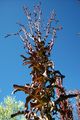 1000282_small