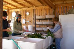 Piece image